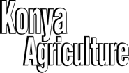 Konya Agriculture Fair